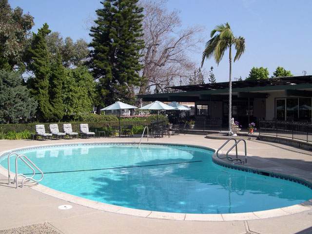 A nice pool surrounded by chairs, a palm tree and other types of foliage.